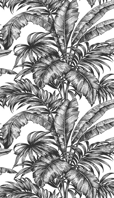 Palm Jungle Ebony & Pearl by Seabrook Wallpaper NextWall Peel & Stick United States 30.75 18" 20.9" - Fabric Carolina -
