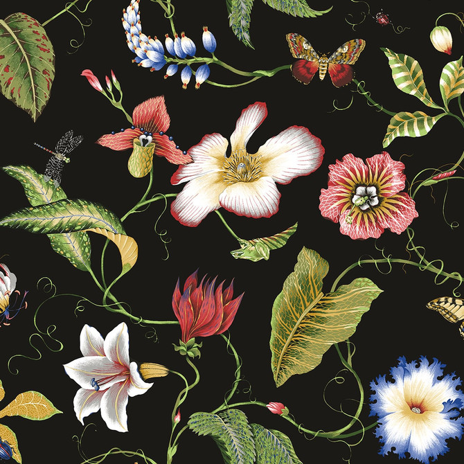 Summer Garden Floral Jet Black by Seabrook Wallpaper NextWall Peel & Stick United States 40.5 25.2" 27" - Fabric Carolina -
