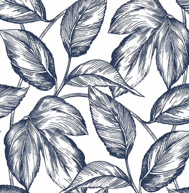 Sketched Leaves Navy Blue by Seabrook Wallpaper NextWall Peel & Stick United States 30.75 20.87" 20.5" - Fabric Carolina -