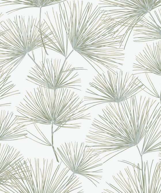 Pine Needles Aloe Green by Seabrook Wallpaper NextWall Peel & Stick Netherlands 31.35 25.2" 20.9" - Fabric Carolina -