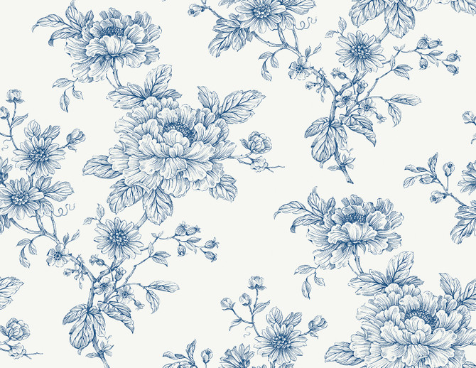 Sketched Floral Blue by Seabrook Wallpaper NextWall Peel & Stick United States 40.5 20.87" 27" - Fabric Carolina -
