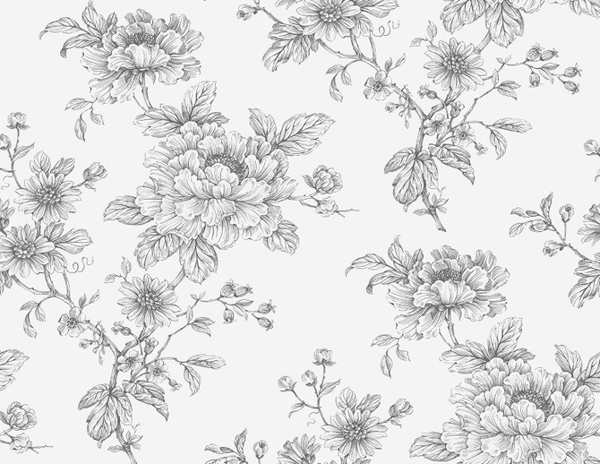 Sketched Floral Grey by Seabrook Wallpaper NextWall Peel & Stick United States 40.5 20.87" 27" - Fabric Carolina -