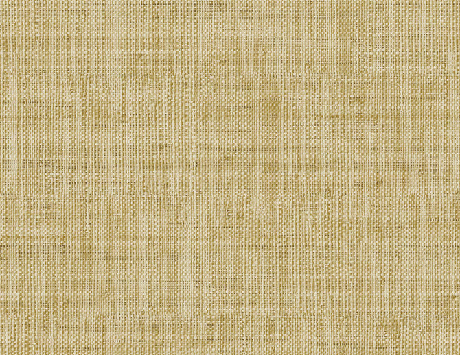 Wild Bind Honey by Seabrook Wallpaper Raffia United States 60.75 20.87" 27" - Fabric Carolina -