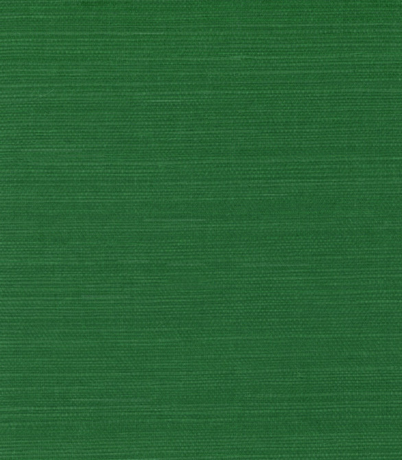 Sisal Kelly Green by Seabrook Wallpaper Pelican Grasscloth China 72 0" 36" - Fabric Carolina -