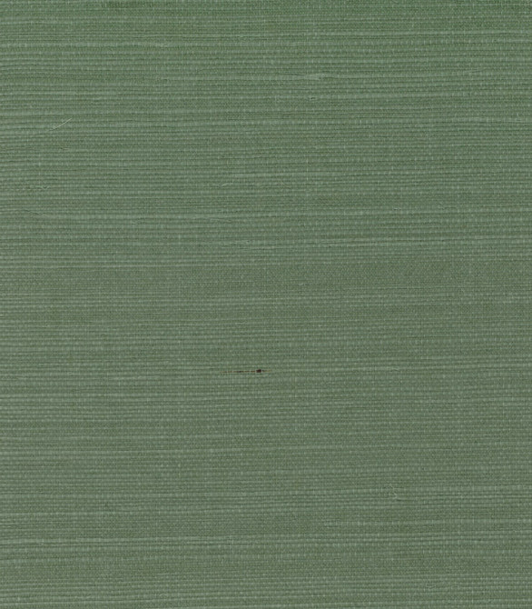 Sisal Lichen Green by Seabrook Wallpaper Pelican Grasscloth China 72 0" 36" - Fabric Carolina -