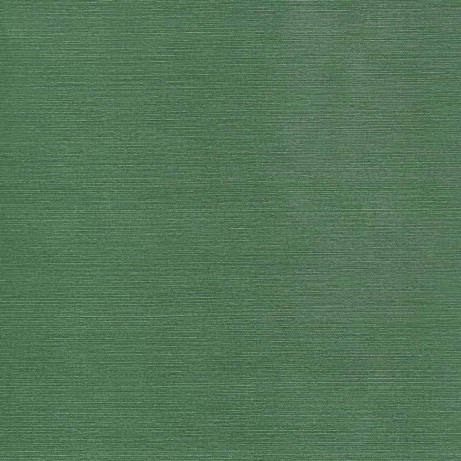 Taluk Sisal Wide Width Forest Green TWW34039 by Thibaut Wallpaper Thibaut Wallpaper Taluk Sisal Wide Width Forest Green TWW34039Wallpaper TEXTURE RESOURCE 9 Embossed Vinyl on Non Woven UNITED STATES </p><p>Repeat: H: , V: 54 - Fabric Carolina -
