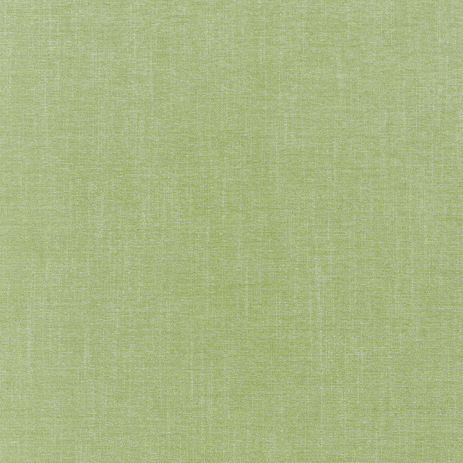 Barrett Grass W711246 by Thibaut Fabric Thibaut Fabric Barrett Grass W711246Fabric SIGNATURE TEXTURES 76% Poly, 24% Rayon -acr back UNITED STATES </p><p>Repeat: H: 0, V: 0 54 - Fabric Carolina -