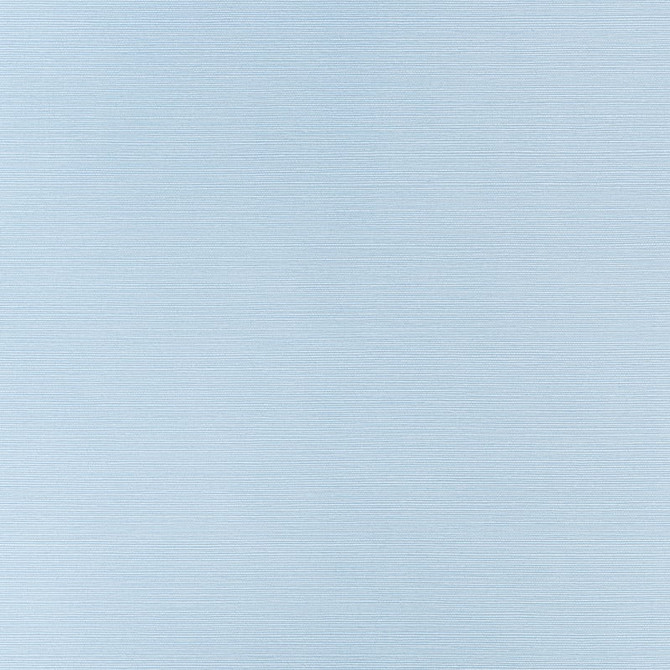 Taluk Sisal Sky Blue T34036 by Thibaut Wallpaper Thibaut Wallpaper Taluk Sisal Sky Blue T34036Wallpaper TEXTURE RESOURCE 9 Embossed Vinyl on Non Woven UNITED STATES </p><p>Repeat: H: , V: 27 - Fabric Carolina -