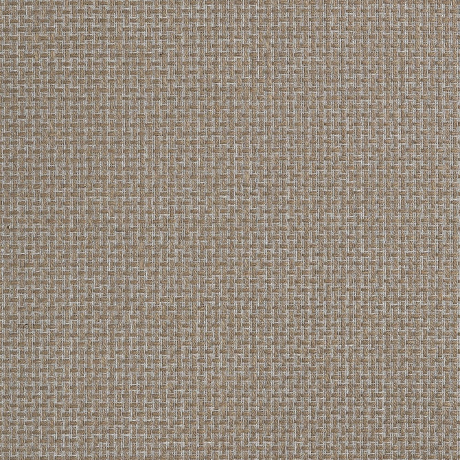 Dedalo Taupe CW10077 by Coraggio Wallpaper Coraggio Wallpaper Dedalo Taupe CW10077Wallpaper CORAGGIO SPRING 2026 Jute and Paper on Non Woven KOREA, REPUBLIC OF </p><p>Repeat: H: , V: 36 - Fabric Carolina -