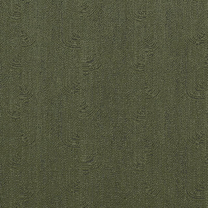 Solaro Olive U98050 by Coraggio Fabric Coraggio Fabric Solaro Olive U98050Fabric CORAGGIO SPRING 2025 56% Viscose, 24% Linen, 20% Cotton ITALY </p><p>Repeat: H: 13.75, V: 5.5 55 - Fabric Carolina -