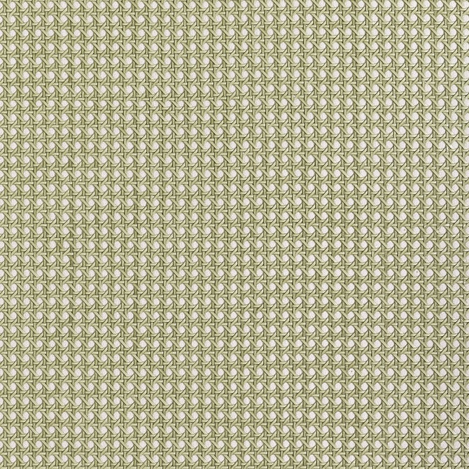 Paper Rattan Olive T10391 by Thibaut Wallpaper Thibaut Wallpaper Paper Rattan Olive T10391Wallpaper GRASSCLOTH RESOURCE 7 Paper on Non Woven KOREA, REPUBLIC OF </p><p>Repeat: H: , V: 36 - Fabric Carolina -