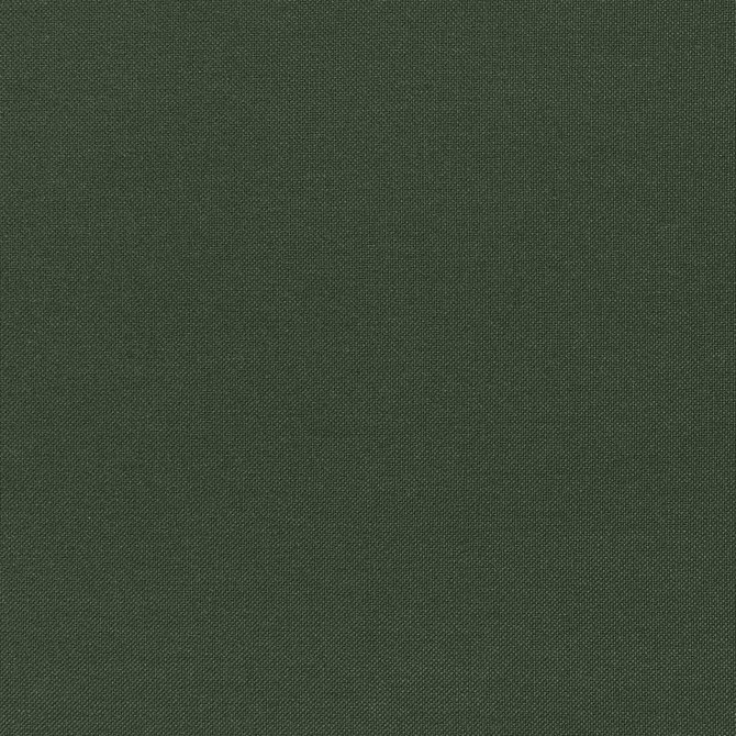 Lexington Weave Foresta U98110 by Coraggio Fabric Coraggio Fabric Lexington Weave Foresta U98110Fabric CORAGGIO SPRING 2026 40% Viscose, 28% Poly Cotton, 20% Wool, 10% Linen, 2% Cotton ITALY </p><p>Repeat: H: , V: 54 - Fabric Carolina -