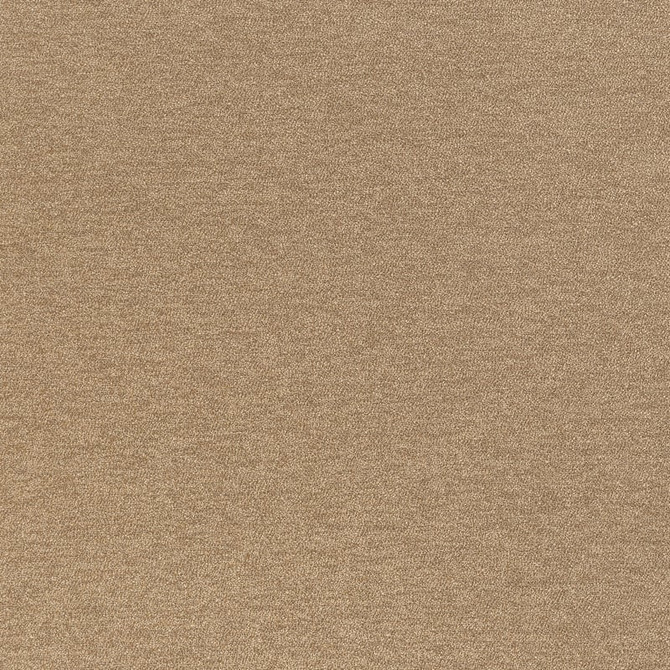 Pepato Camel U98085 by Coraggio Fabric Coraggio Fabric Pepato Camel U98085Fabric CORAGGIO SPRING 2026 63% Solution Dyed Acrylic, 37% Solution Dyed Polyester ITALY </p><p>Repeat: H: , V: 54 - Fabric Carolina -