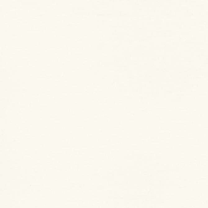 Intimo Ivory U98080 by Coraggio Fabric Coraggio Fabric Intimo Ivory U98080Fabric CORAGGIO SPRING 2026 55% Wool, 40% Llama, 5% Polyamide ITALY </p><p>Repeat: H: 0, V: 0 53 - Fabric Carolina -