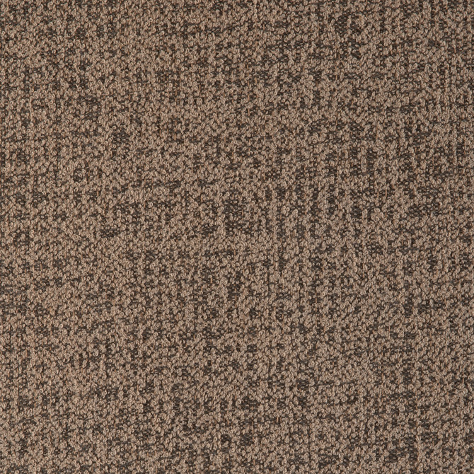 370041-0005 Abstraction Fossil by Sunbrella Fabric Sunbrella® Upholstery 98.5% Sunbrella® Acrylic / 1.5% Sunbrella® Polyester