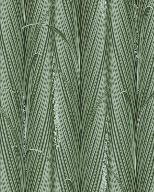 DANUBE FOLIAGE Absinthe Wallpaper (WP30216) by Mind The Gap | WP30216 | THE WETLANDS | 1 roll x 52 x 1000 cm / 20.5x393.7 in | 0.52m / 20.5in | 10m / 393.7in | 5.20sqm / 55.9sq ft | 60cm / 23.6in | White, Green | Non-woven Satin | Paste the wall | 1 roll in a box | Fabric Carolina | https://www.fabriccarolina.com/