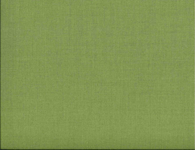 Corona Sprout 312 by Norbar Fabric 100% POLYESTER TAIWAN 54" - Fabric Carolina -