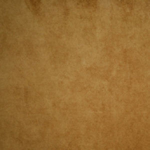 Puma Camel 818 by Norbar Fabric 100% POLYESTER CHINA 55 - Fabric Carolina -