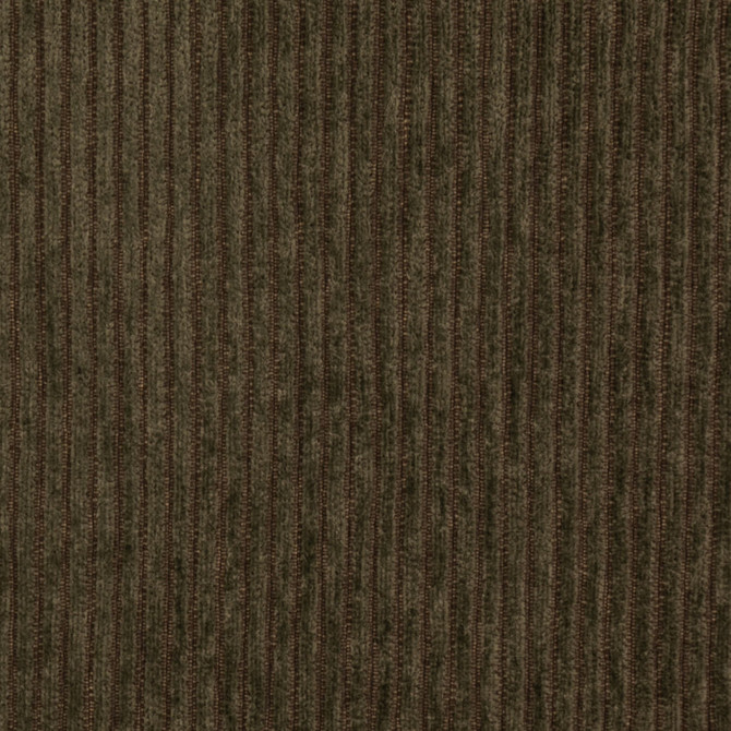 Value Chenille Herbal D4943 by Charlotte Fabrics Fabric Charlotte Fabrics Fabric Value Chenille 58% Recycled Polyester, 24% Polyester, 18% Polypropylene USA No Repeat 54"  - Fabric Carolina -