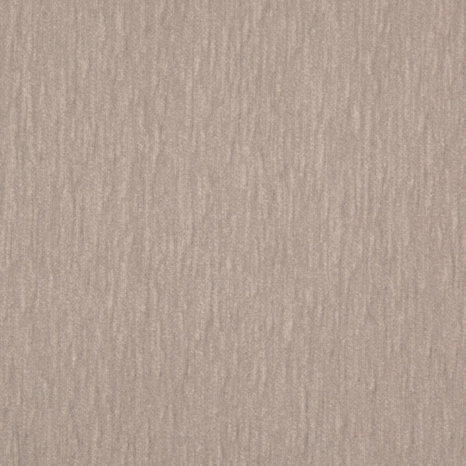Value Chenille Dove D4959 by Charlotte Fabrics Fabric Charlotte Fabrics Fabric Value Chenille 80% Recycled Polyester, 20% Polyester USA No Repeat 54"  - Fabric Carolina -