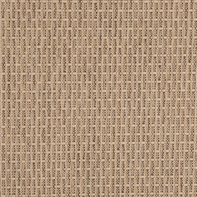 Value Classics Pebble D4997 by Charlotte Fabrics Fabric Charlotte Fabrics Fabric Value Classics 100% Olefin USA No Repeat 54"  - Fabric Carolina -