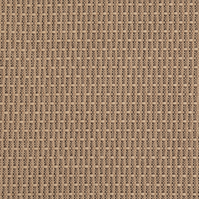 Value Classics Biscotti D5000 by Charlotte Fabrics Fabric Charlotte Fabrics Fabric Value Classics 100% Olefin USA No Repeat 54"  - Fabric Carolina -