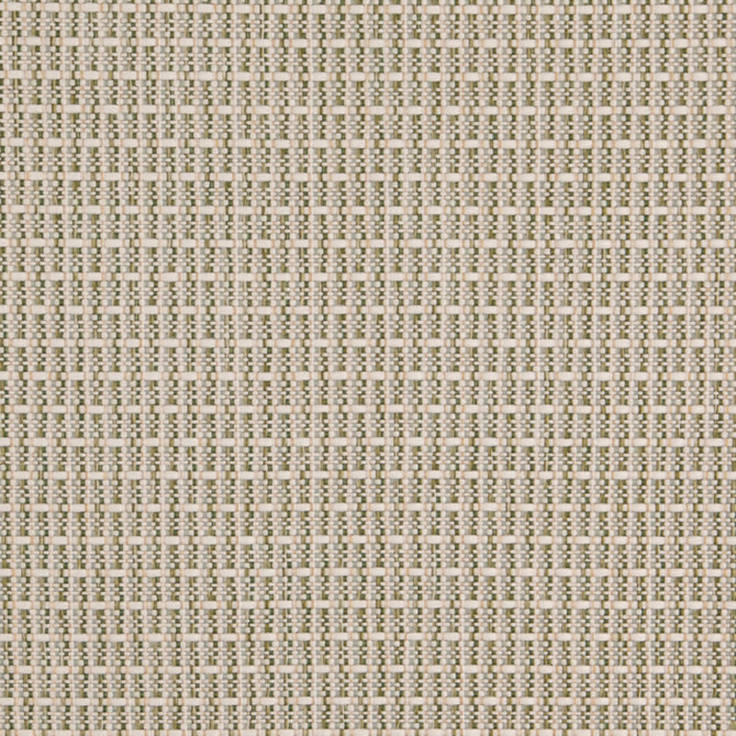 Value Classics Basil D5002 by Charlotte Fabrics Fabric Charlotte Fabrics Fabric Value Classics 100% Olefin USA No Repeat 54"  - Fabric Carolina -