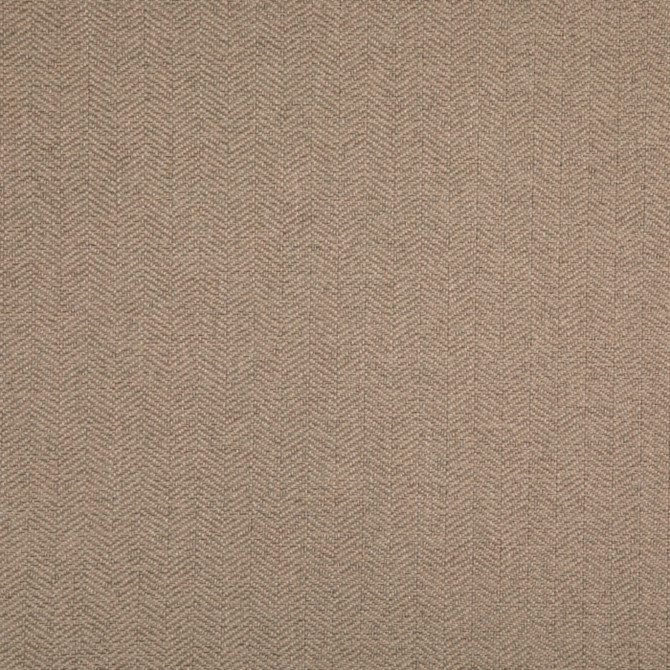 Value Modern Sage D5006 by Charlotte Fabrics Fabric Charlotte Fabrics Fabric Value Modern 100% Polypropylene USA No Repeat 54"  - Fabric Carolina -