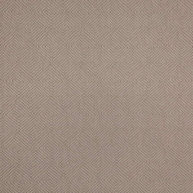 Value Modern Dove D5024 by Charlotte Fabrics Fabric Charlotte Fabrics Fabric Value Modern 100% Polypropylene USA Horizontal 2.75" x Vertical 2.5" 54"  - Fabric Carolina -