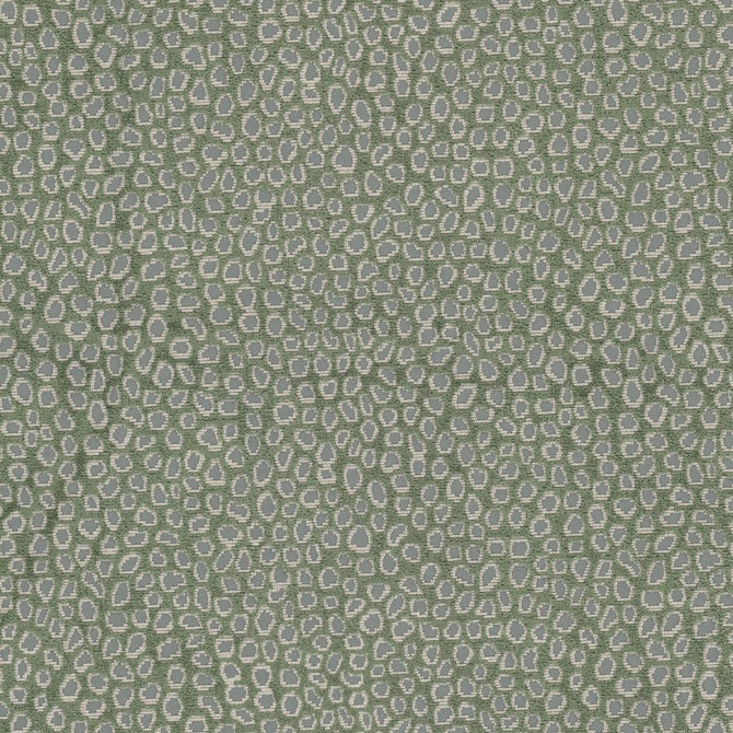 Trailside 1 Dewkist by Stout Fabric