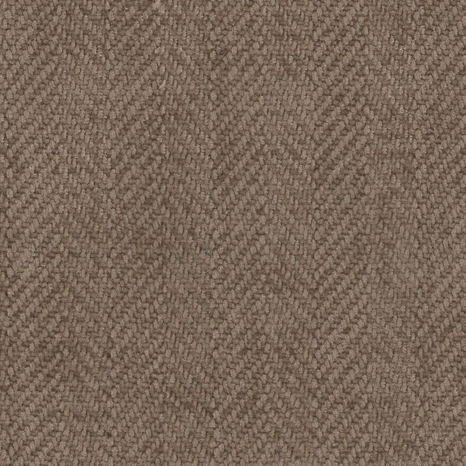 Elapse 8 Acorn by Stout Fabric