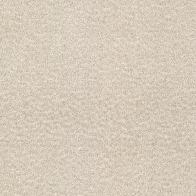 Never 2 Parchment by Stout Fabric