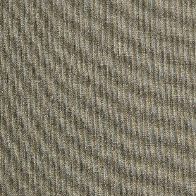Civic 2 Twig by Marcus William Fabric