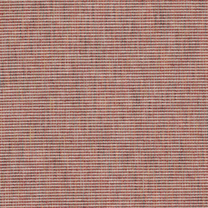 Connell 5 Shocking by Stout Fabric