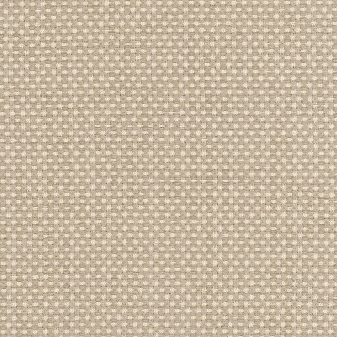 Fika 1 Champagne by Marcus William Fabric