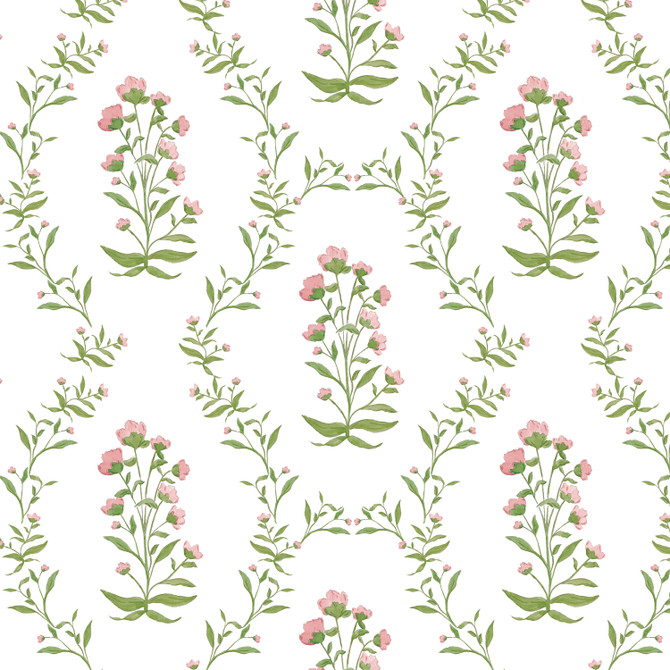 W7907 Perennials 5 Tearose by Aoc Wallcovering