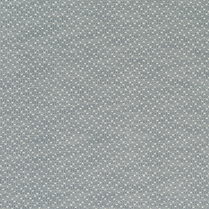 Groupie 4 Slate by Marcus William Fabric
