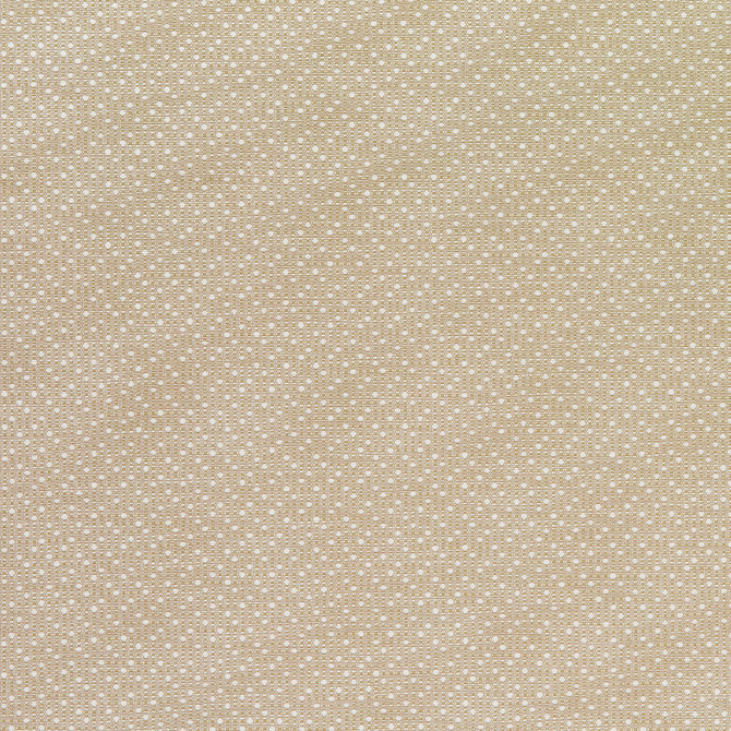 Groupie 9 Desert by Marcus William Fabric