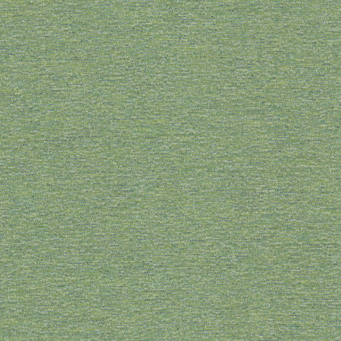 Desert 1 Fern by Insideout Fabric