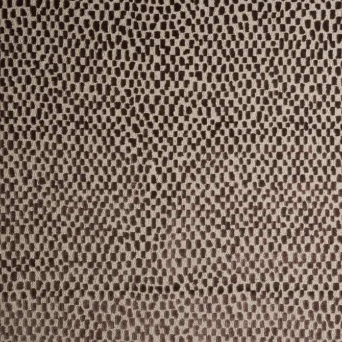 Tocci 5 Espresso by Marcus William Fabric