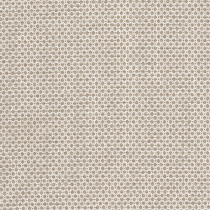 Abloom 4 Toast by Stout Fabric