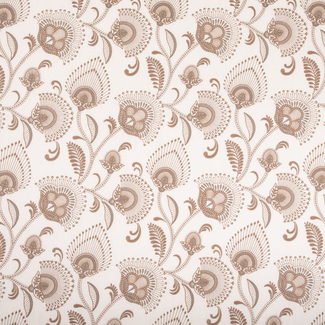 Babette Peanut A1457-01 by 29 Park Fabric