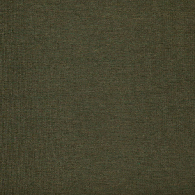 Balcony Moss A1446-04 by 29 Park Fabric