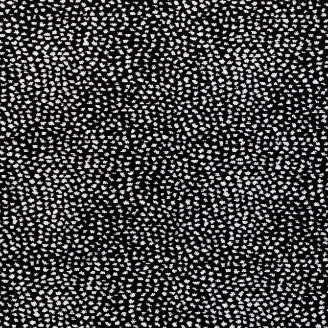 Felix Dalmatian A1088-02 by 29 Park Fabric