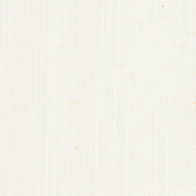 F6543 White by Greenhouse Fabric