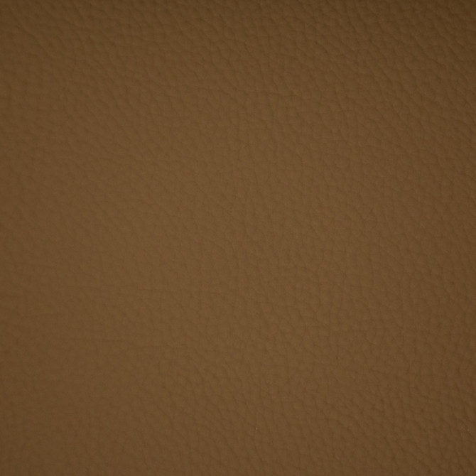 F6664 Hazel by Greenhouse Fabric