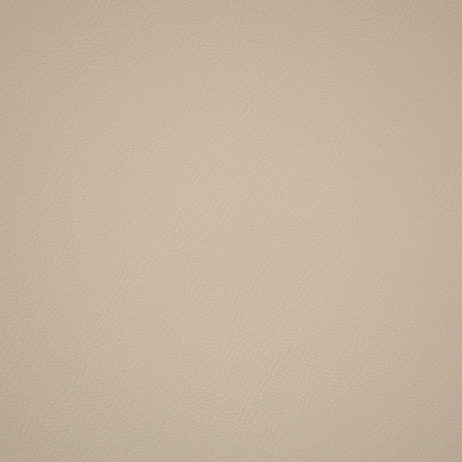 F6657 Pebble by Greenhouse Fabric