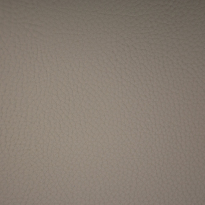 F6674 Magnesium by Greenhouse Fabric