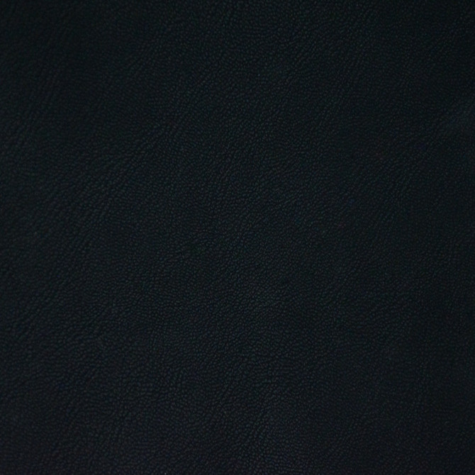 F6650 Black by Greenhouse Fabric