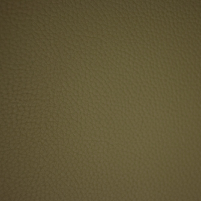 F6668 Aloe by Greenhouse Fabric